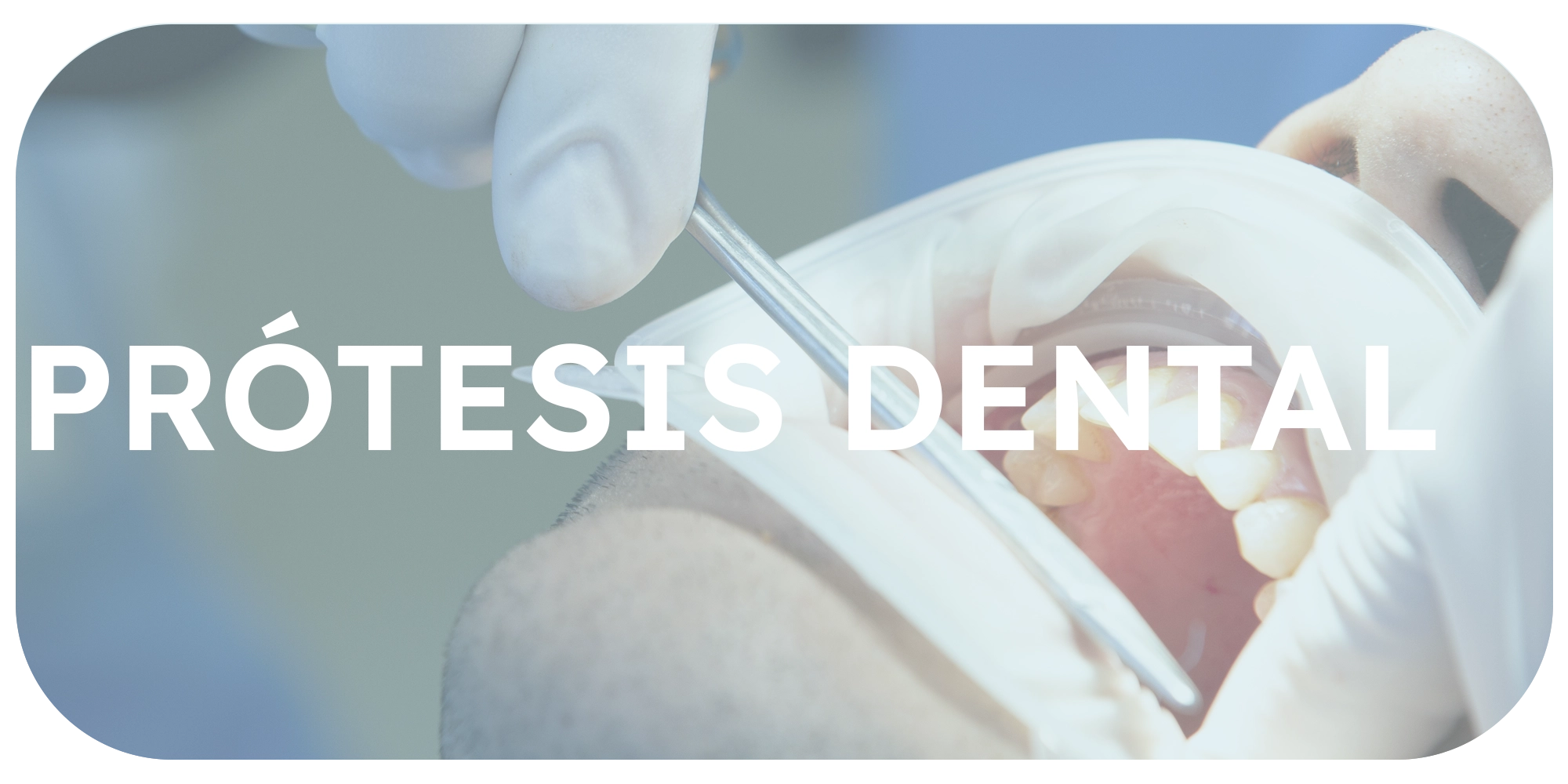 Prótesis dental