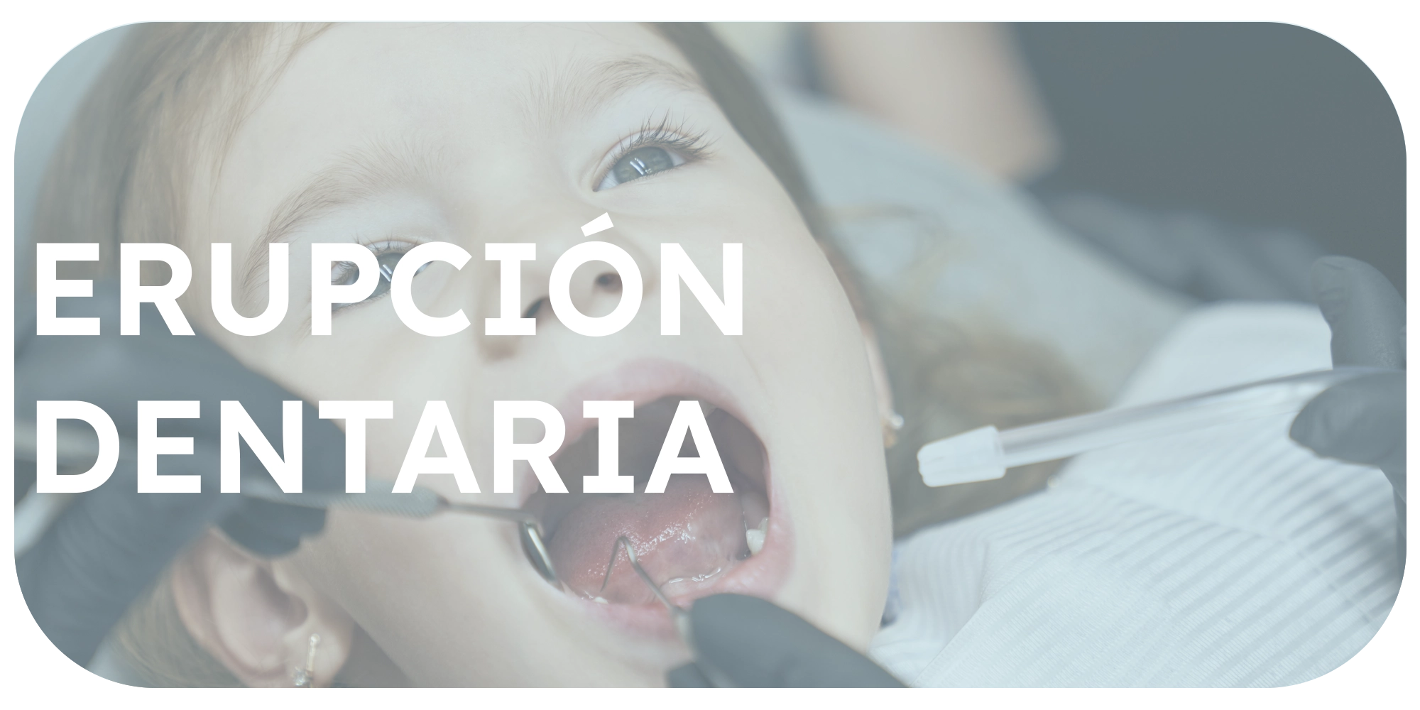 Erupción dentaria