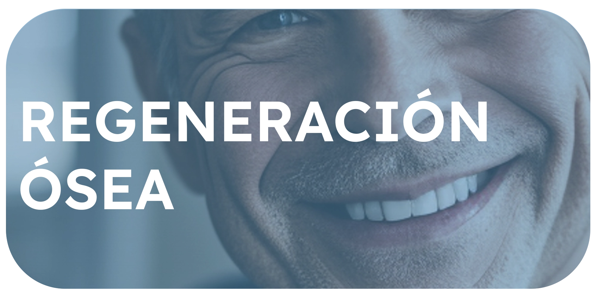 Regeneración ósea